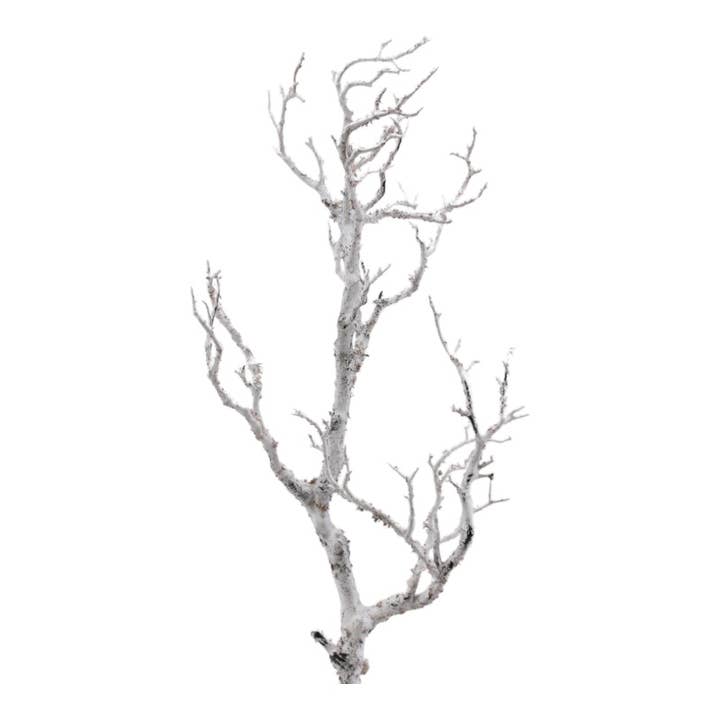 Gren 69 cm hvid for engroshandel hos Floratexx