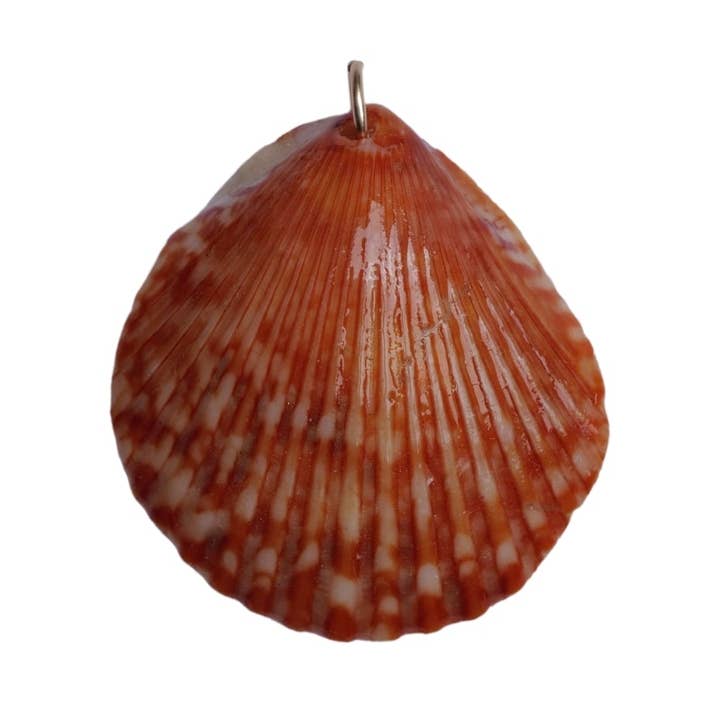 Scallop Seashell Charm No. 021 for wholesale by ROOTSSEA