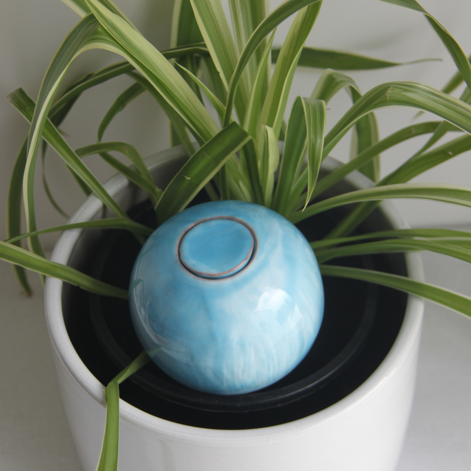 Poterie lutton - Wholesale Watering can - Marble Planter Bowls12