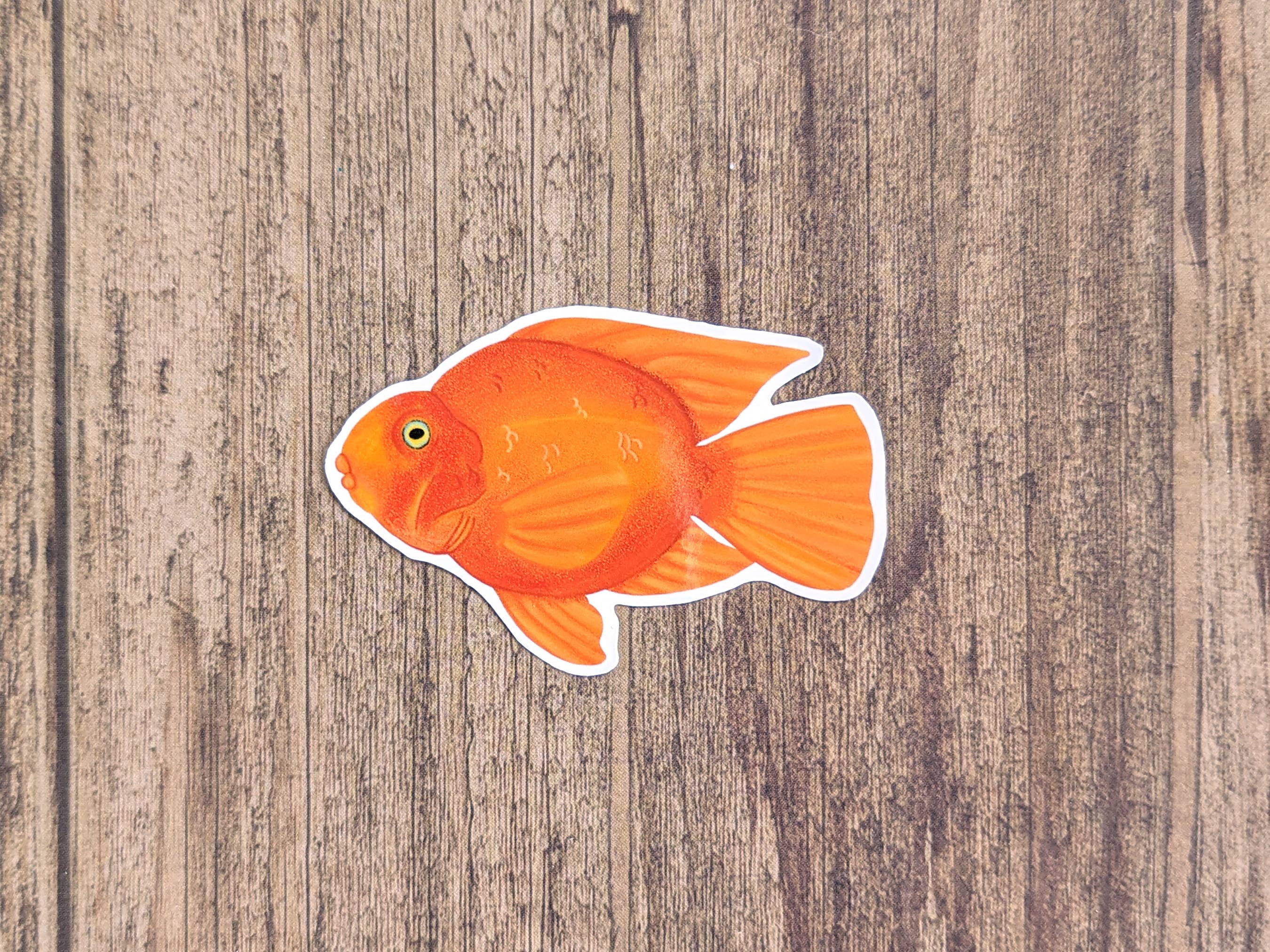 Proper Wolf - Wholesale Sticker - Blood Red Parrot Cichlid Fish Vinyl Sticker Decal1