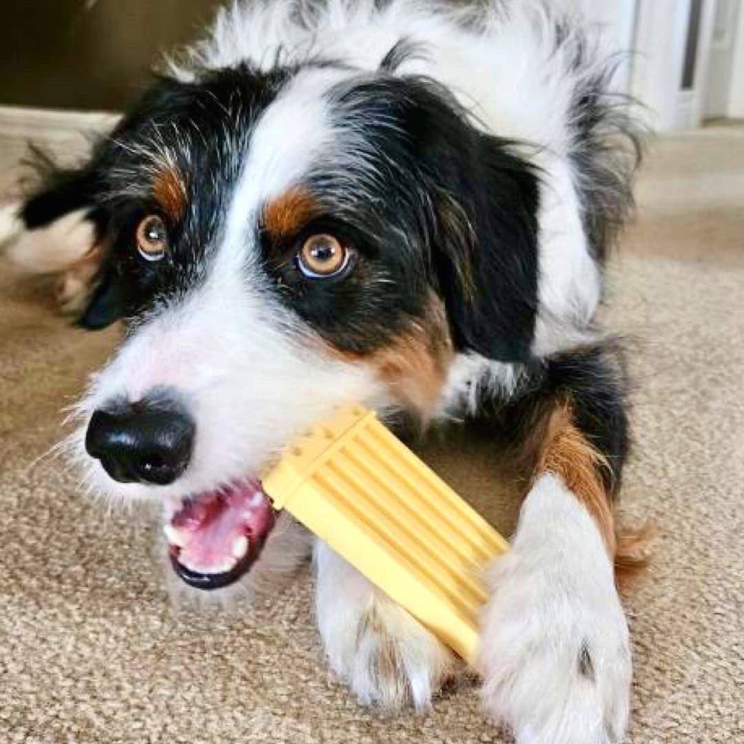 DuraPaw - Wholesale Pet Chew Toy - Dog - DuraPaw Pup Corn Super Tough Nylon Dog Toy3