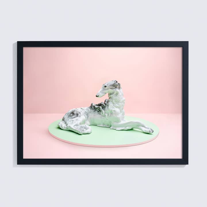 Impression photo giclée rose et vert menthe d'un élégant chien afghan pour la vente par Ornament Art