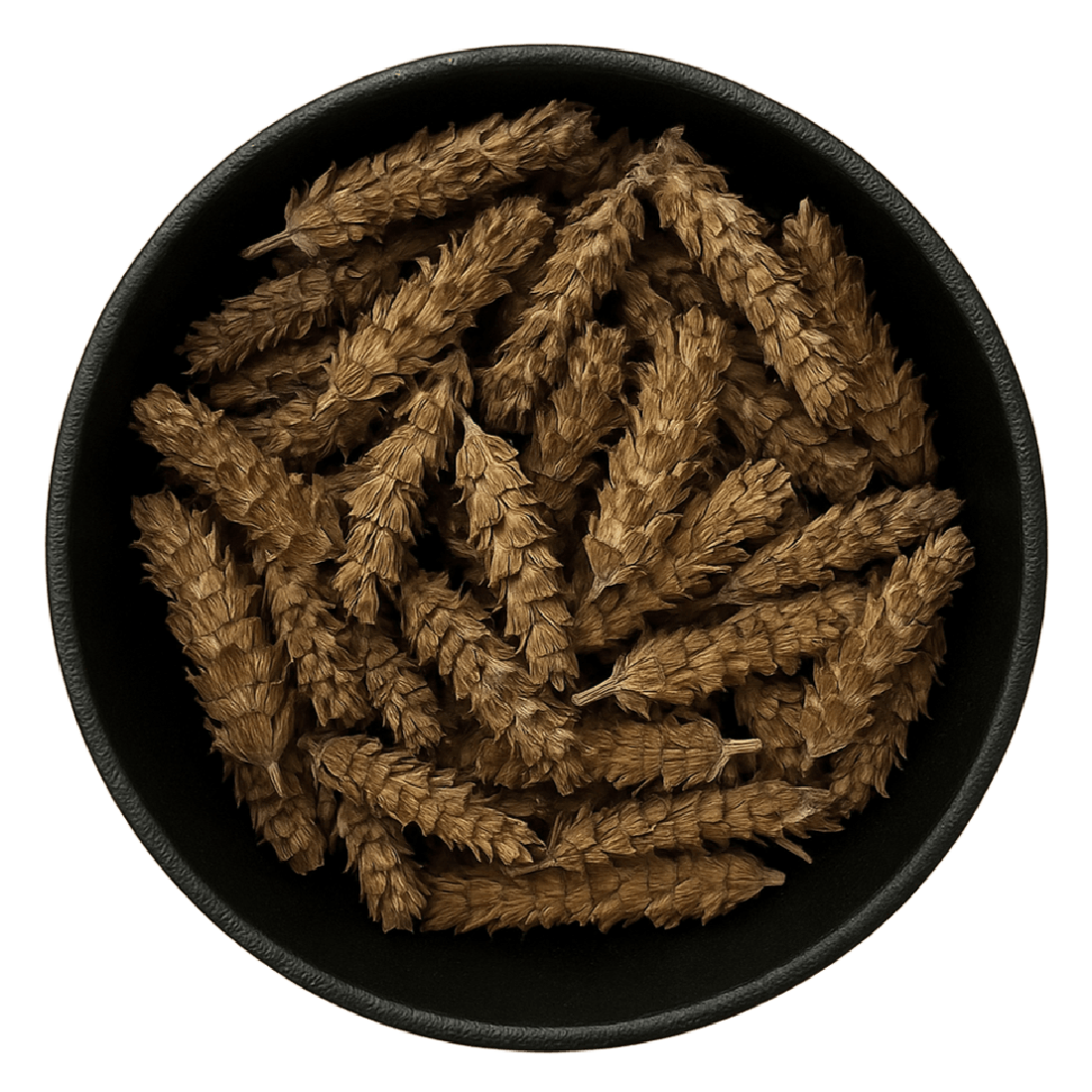 LA Herb – wholesale Herbs – Heal-All Flower Whole (Prunella Vulgaris)1