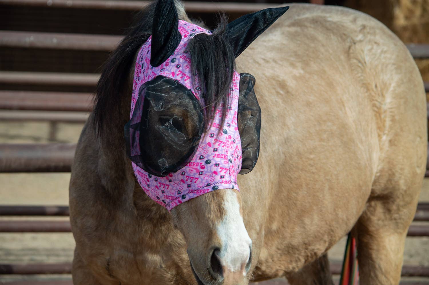 Schulz Equine - Wholesale Horseback Riding Gear - Lycra Fly Mask38