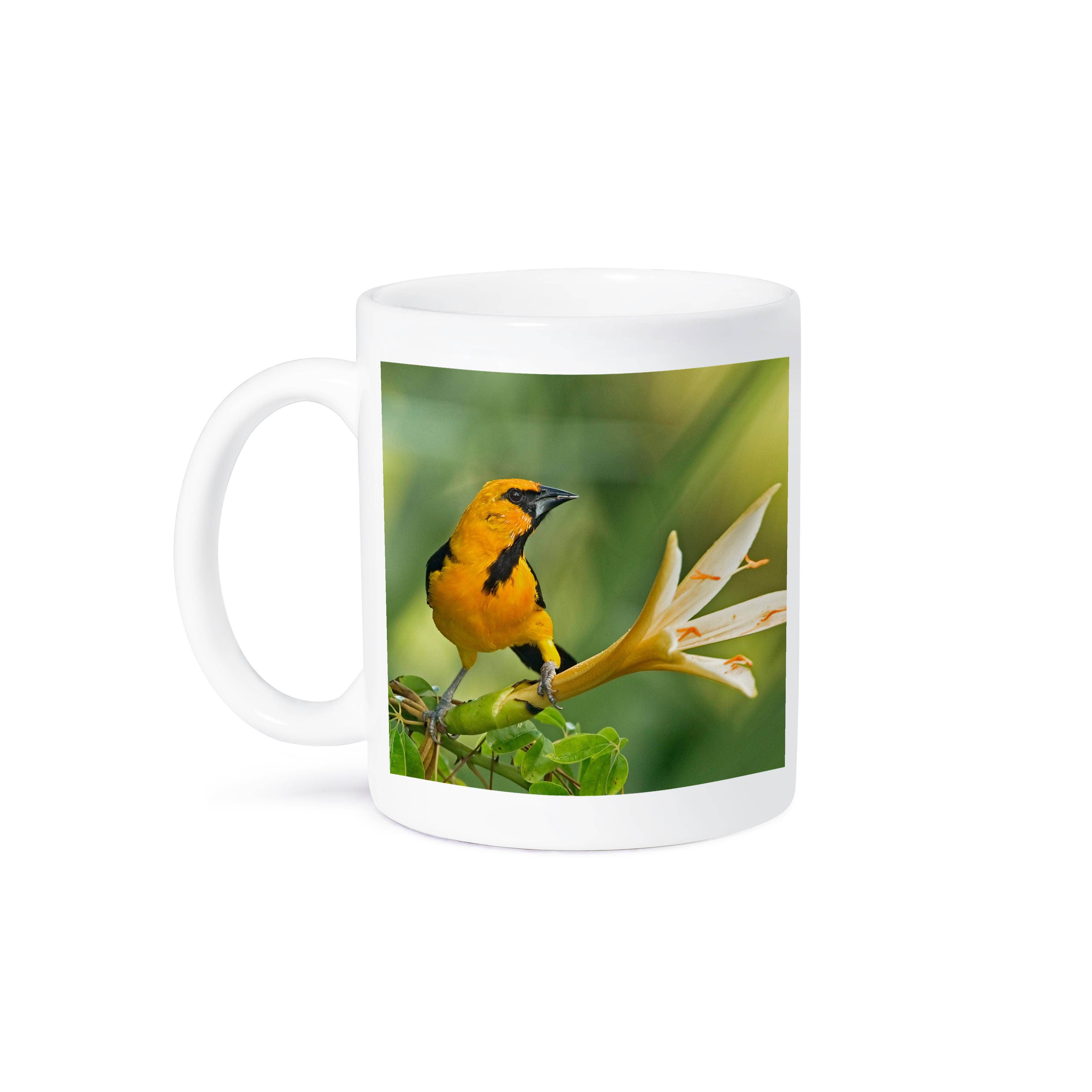 3dRose - Wholesale Coffee Mug - 3dRose, Yucatan, Mexico. Altamira oriole in Caribbean trumpet tree., Mug8