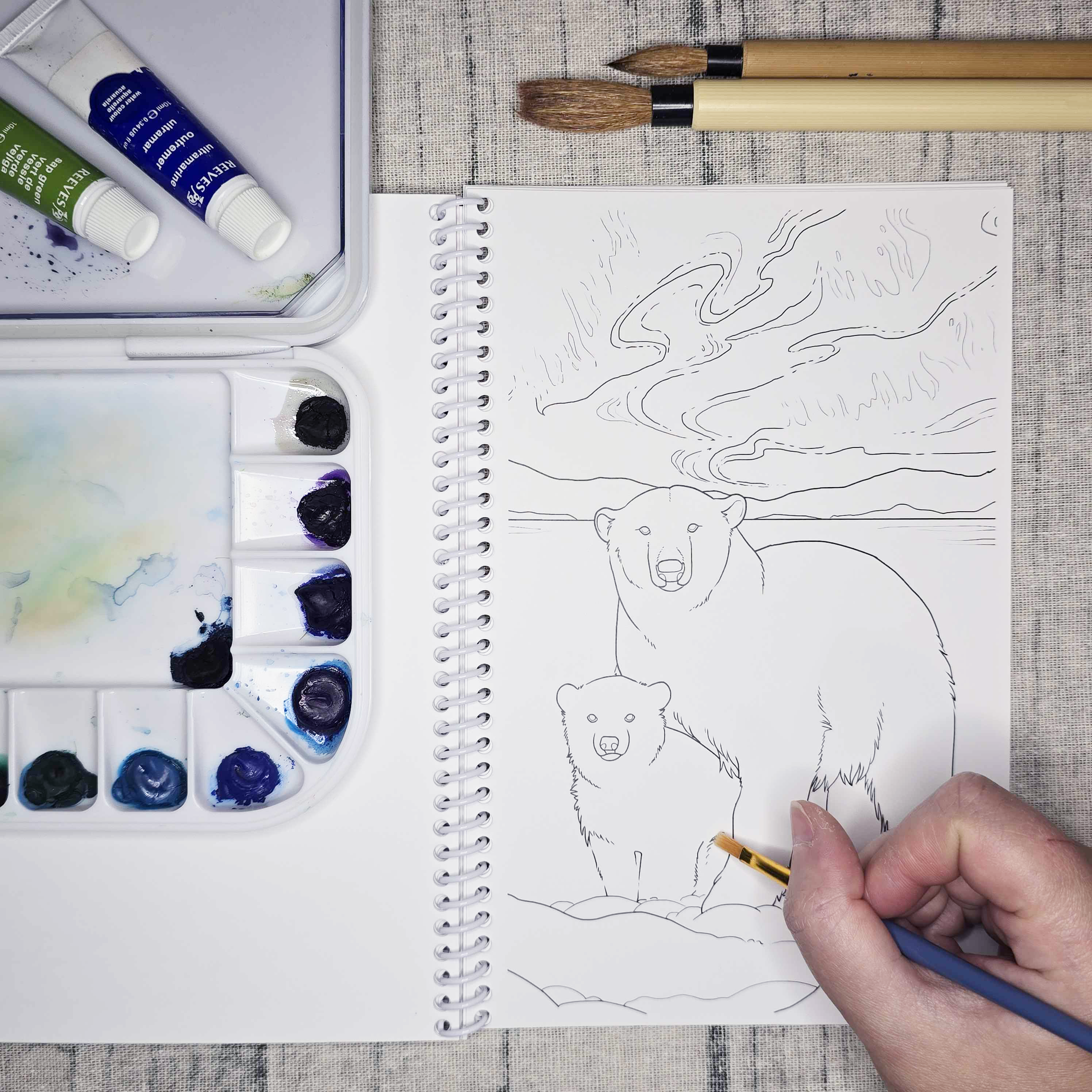 The Snow Finch - Vendita all'ingrosso Libro da colorare e attività - Adulti - Libro d'arte da colorare dell'Alaska artica8