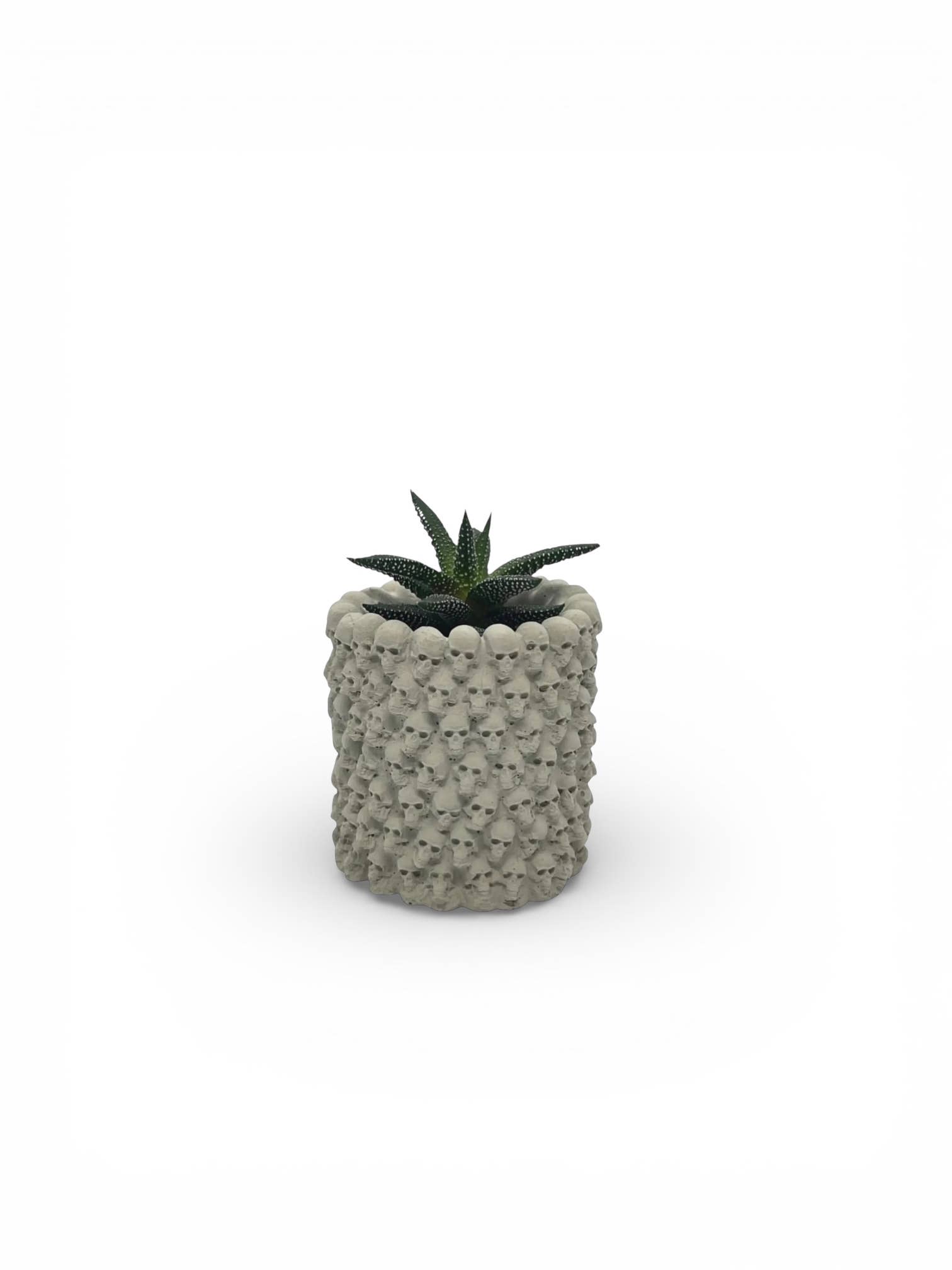 Gris Naturel Skull Planter | fr en vente sur Faire2