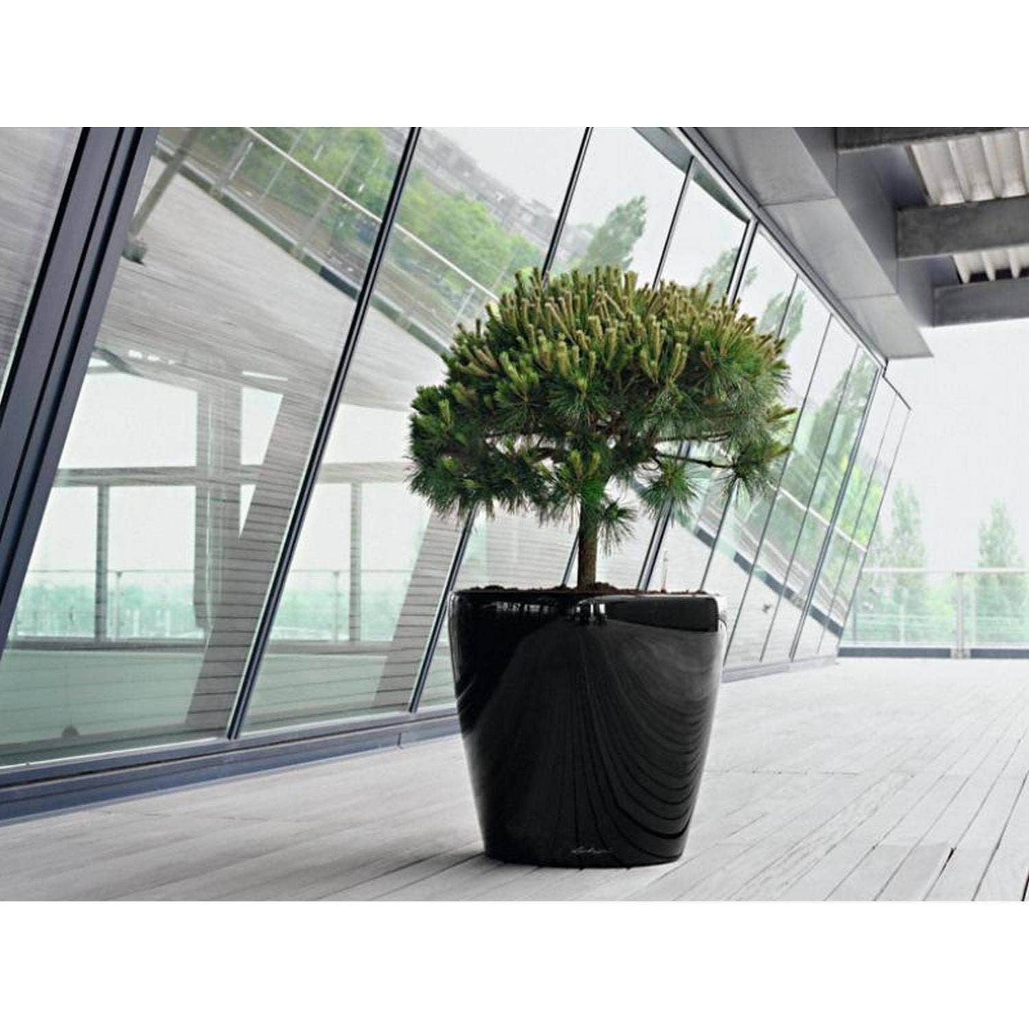 Lechuza Self Watering Planters - Vendita all'ingrosso Vasi per piante - LECHUZA CLASSICO LS Vaso rotondo in poliresina18