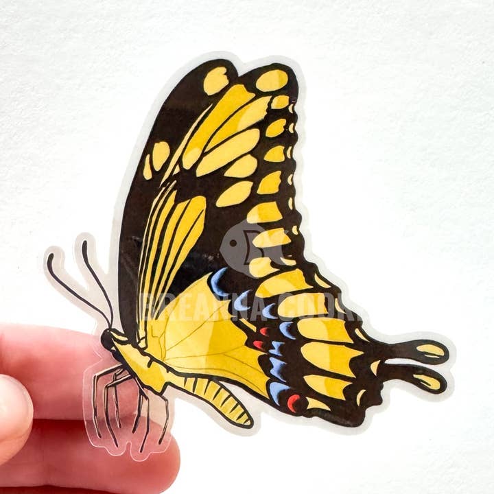 Autocollant transparent vue latérale du papillon géant à queue d'hirondelle | 3 x 2 po pour la vente par Breanna Cooke