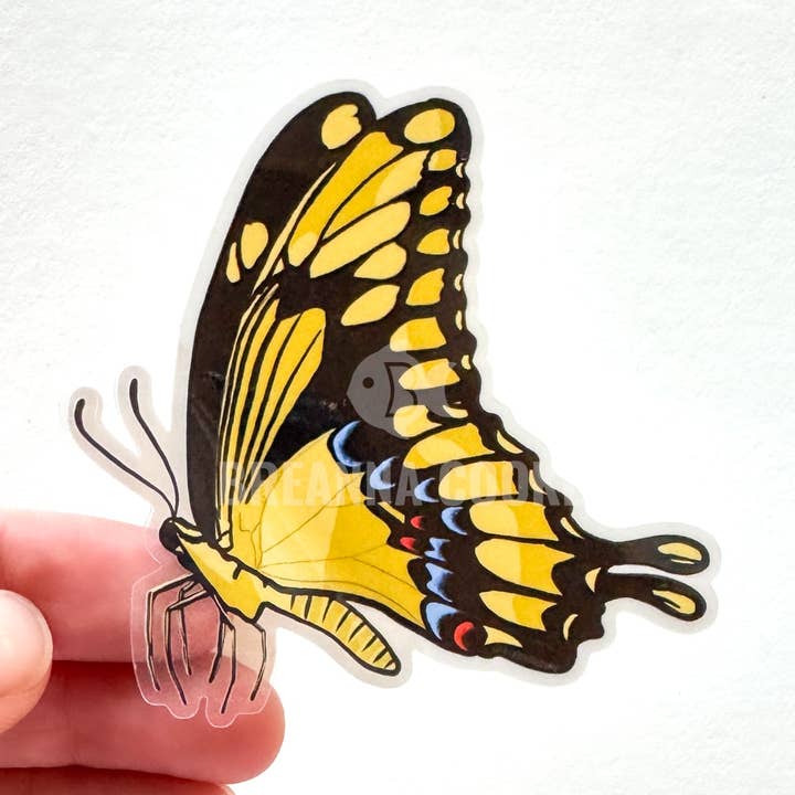 Giant Swallowtail Butterfly Side View | Clear Sticker | 3 x 2 in for wholesale by Breanna Cooke
