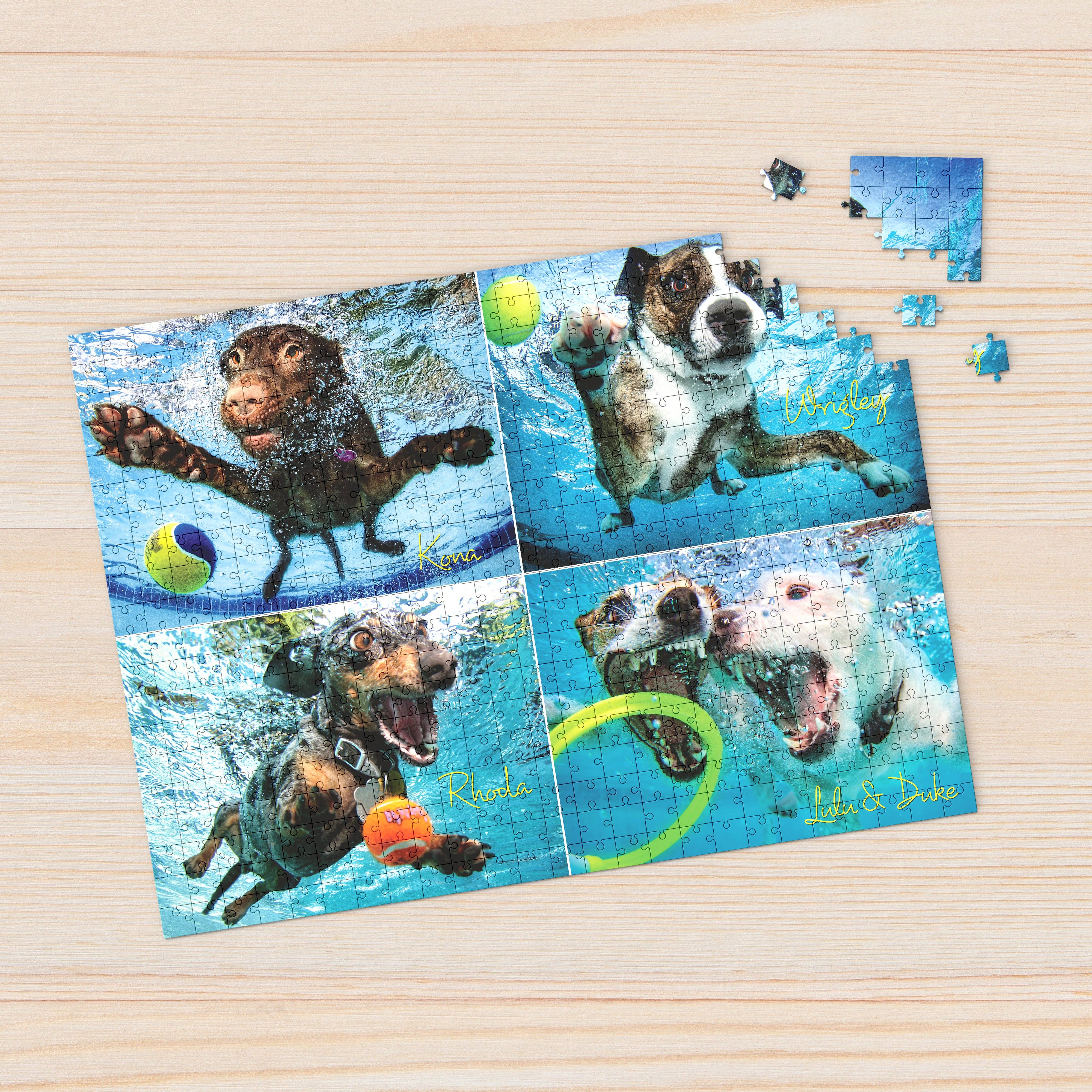 Willow Creek Press & Gifts - Wholesale Puzzle – Adult - Underwater Dogs 2 1000-piece Puzzle3