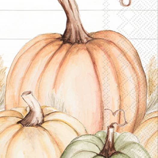 Paper Guest Towel 16 Count - Pumpkin Trio Fall for wholesale by Boston International