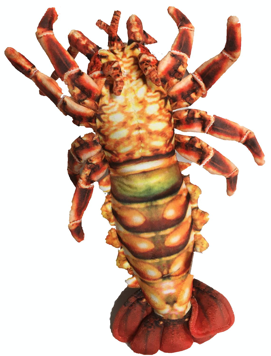 Texas Toy Distribution - Wholesale Stuffed/Plush Toy - Kids & Baby - Crawfish / Lobster 12.5" Aquatic Plush Animal3