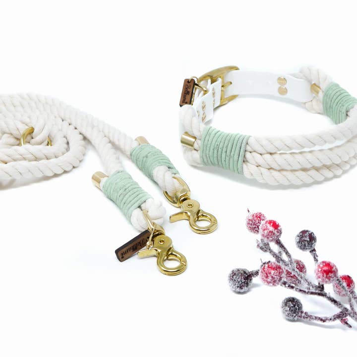 atlas collar for wholesale by Bellkami