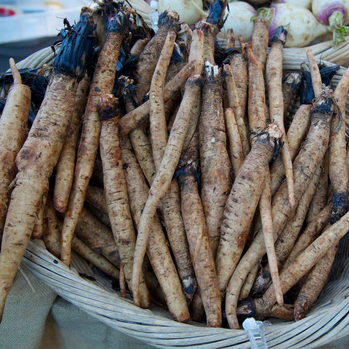 Witchy Pooh's Exotic Teas & Herbs - Wholesale Loose Tea - Witchy Pooh's Burdock Root Tea - Cut and Sifted12