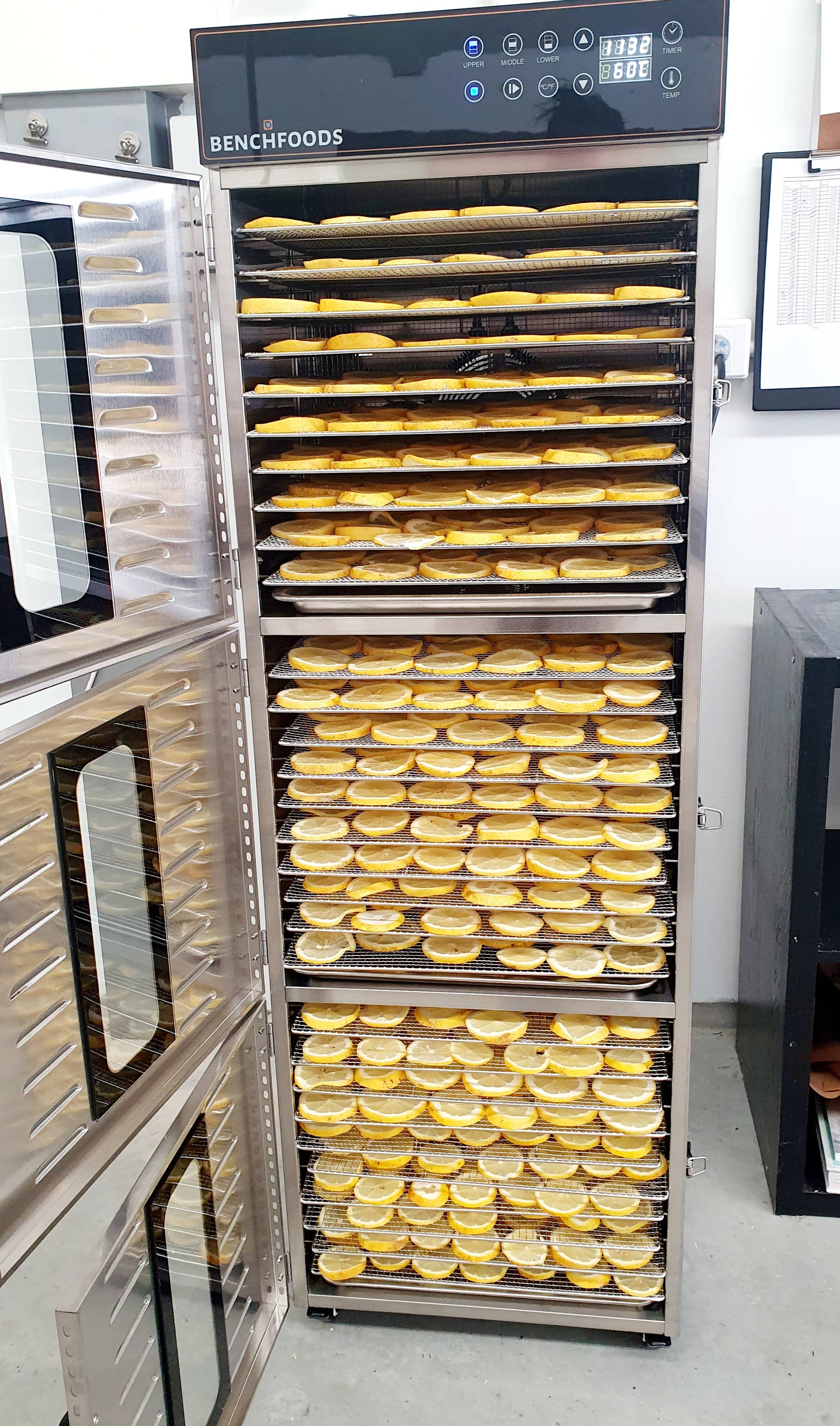 Zest Element - Wholesale Dried/dehydrated fruit - Dried Queensland Lemon slices3