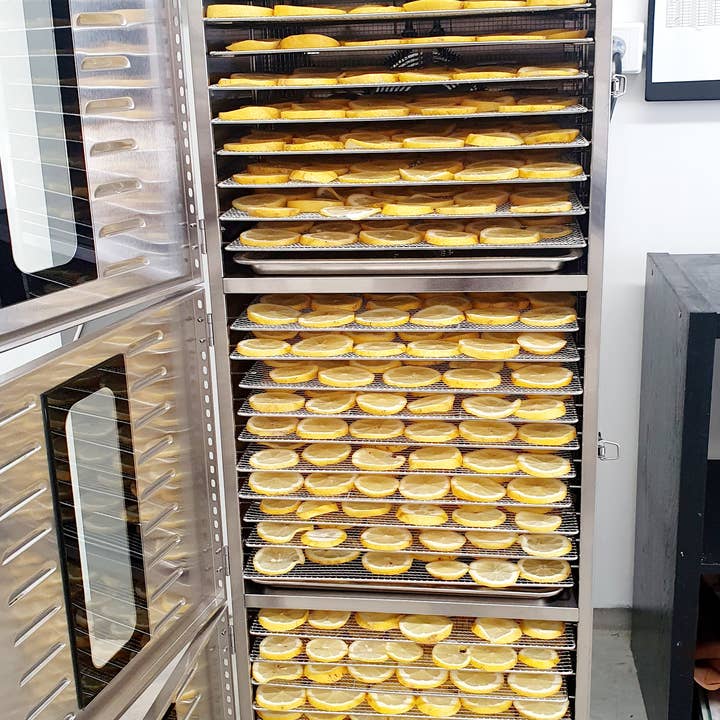 Zest Element - Wholesale Dried/dehydrated fruit - Dried Queensland Lemon slices3