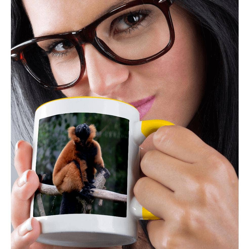 3dRose – wholesale Coffee mug – 3dRose, red ruffed lemur fangs 3drose, Mug1