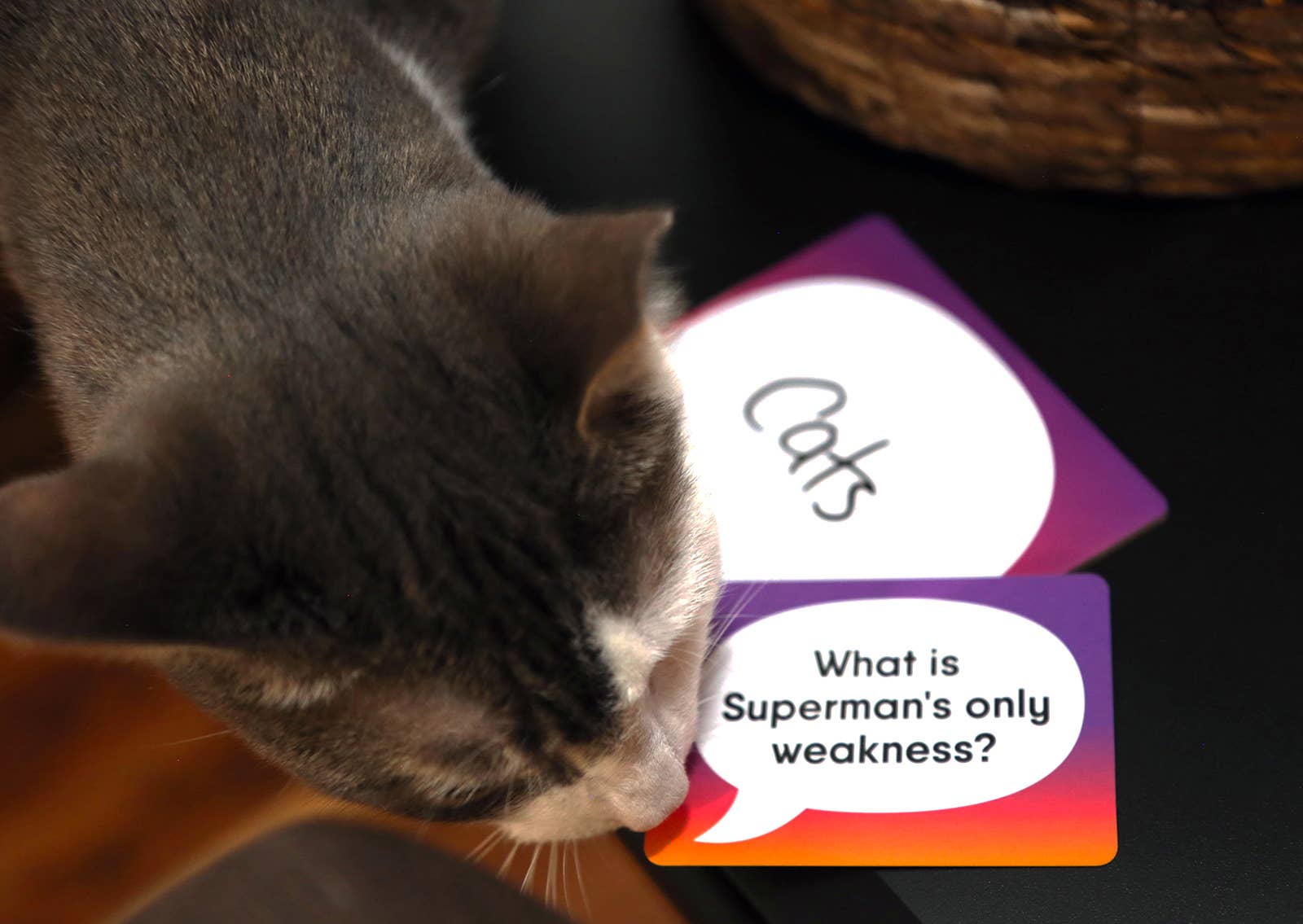 Gray Matters Games - Wholesale Card Game - Wrong Answers Only2