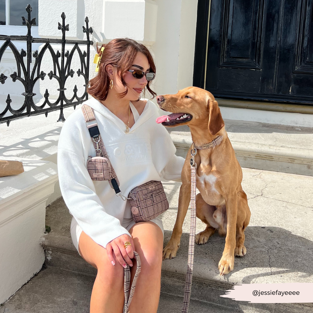 Cocopup London - Wholesale Pet Treat Bag - Dog - Treat Pouch - Pup Plaid3