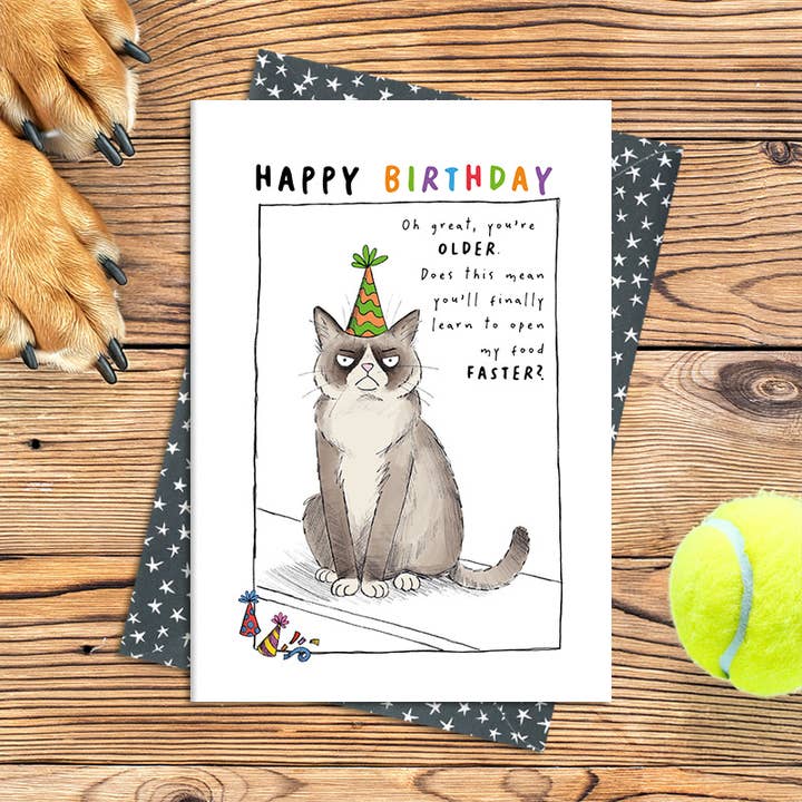 Happy Birthday - You're older cat - Greetings Card for wholesale by Dandelion Stationery