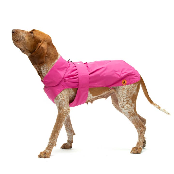 United Pets - Wholesale Pet coat – Dog - Save the Duck x United Pets Coat for Dogs Fuchsia6