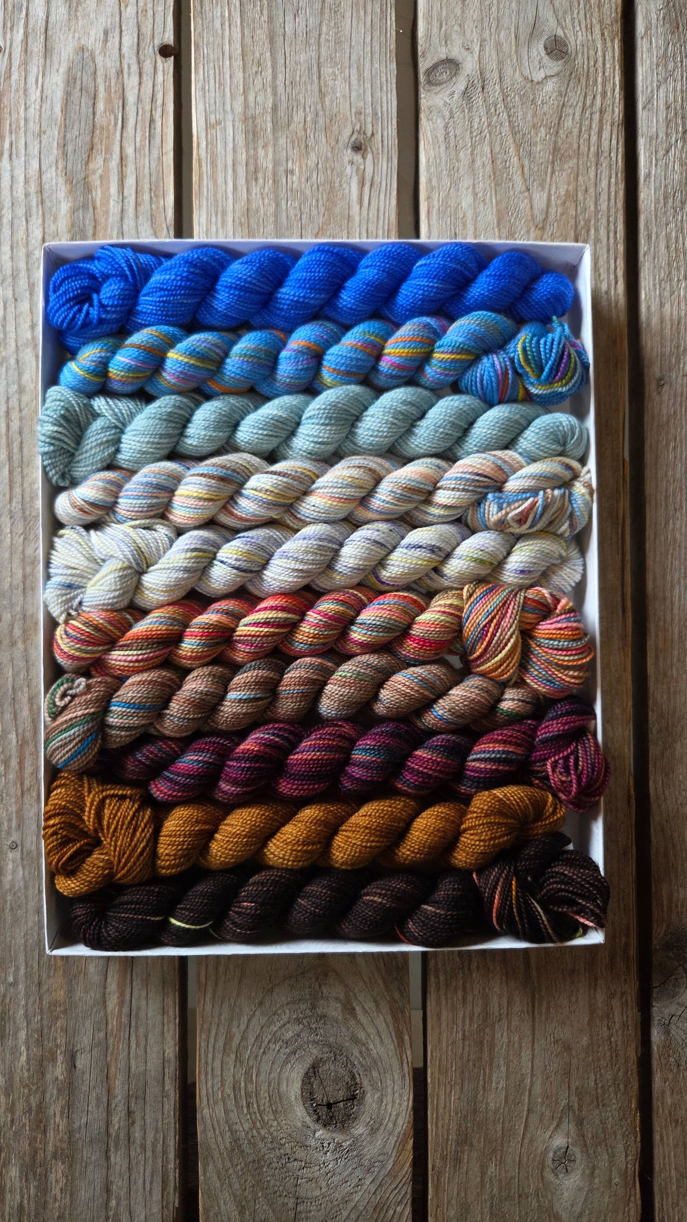 Koigu Wool Designs - Wholesale Yarn - Wibbly-Wobbly Scarf Mini Skein Sets (LYS DAY 2026)34