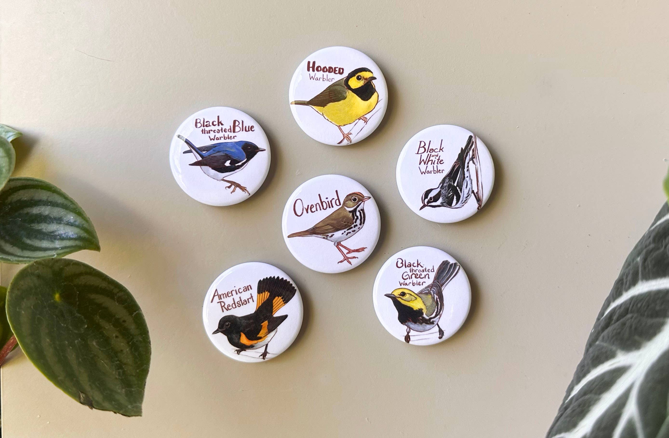 River Thrush Studio - Wholesale Magnet - Woodland Warblers - Magnet Set of 60