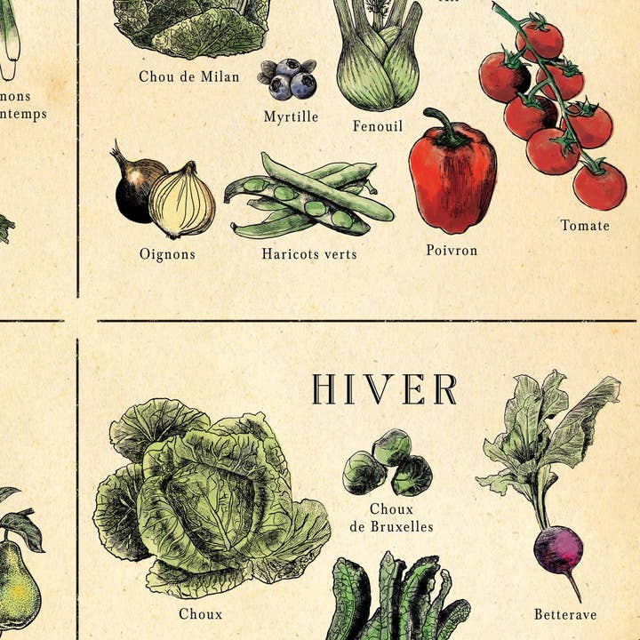 Hannah Turpin Designs – wholesale Poster – FRENCH Fruit and Vegetable poster, kitchen food print, Resta