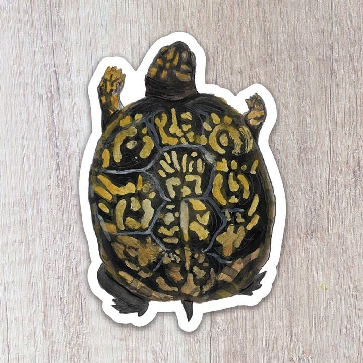 Box Turtle Sticker for wholesale by Brush & Bark