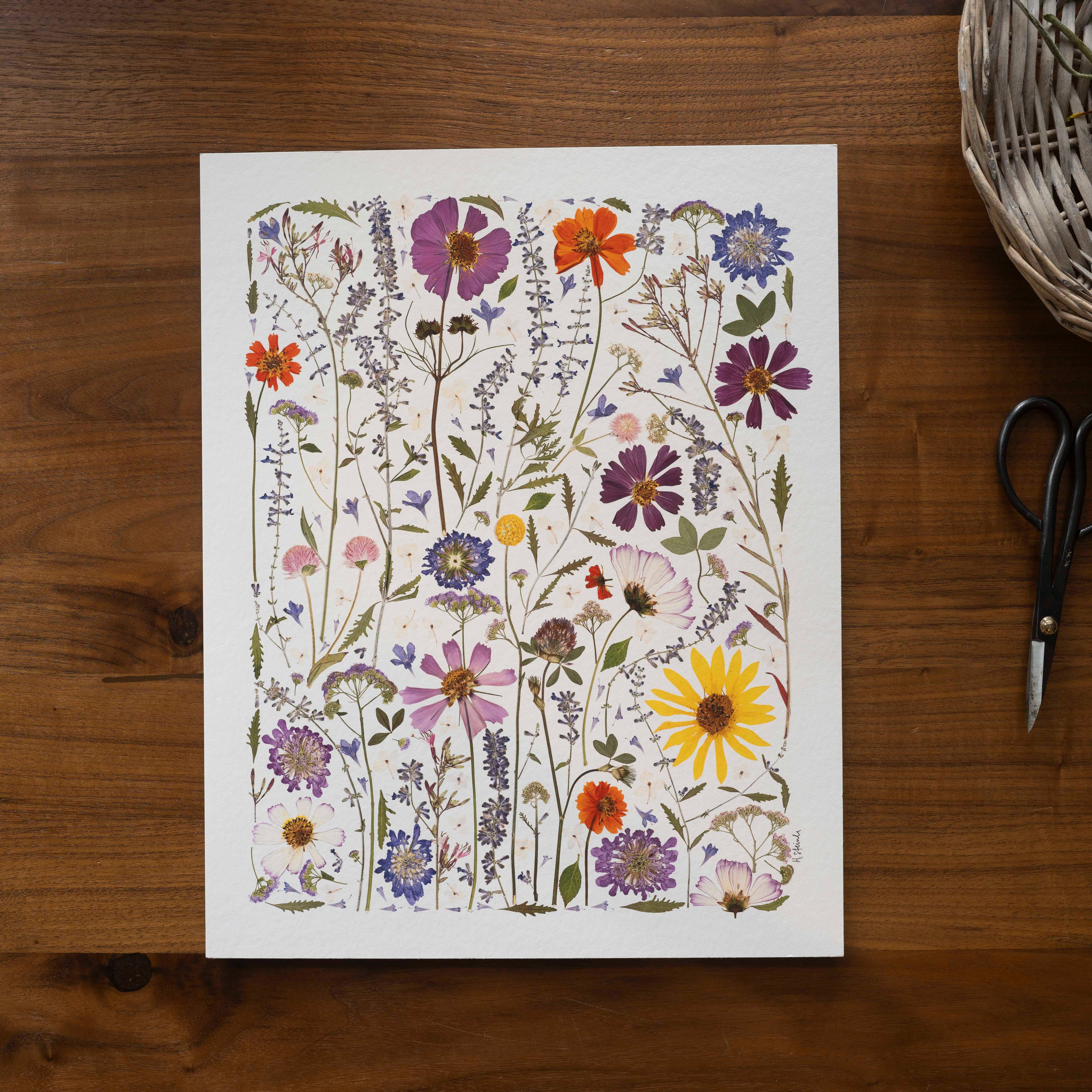 Hope Steinle Pressed Flower Art - Wholesale Art Print - Pressed Flower Collage Fine Art Print - "Serenity Blooms"2