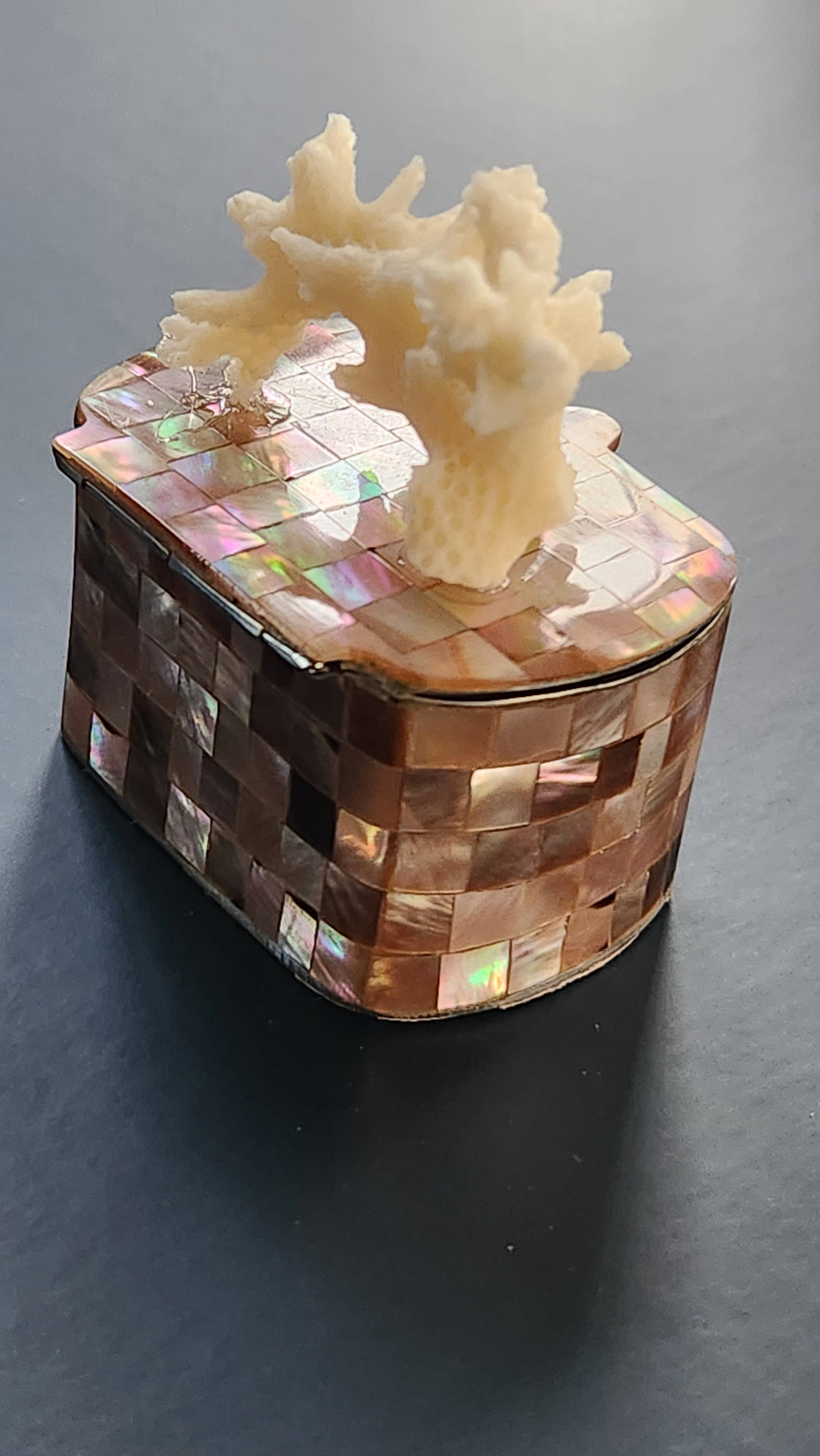 White Tulip Boutique - Wholesale Decorative Box - Mini Tawny Abalone MOP Shell Trinket Pill Box6