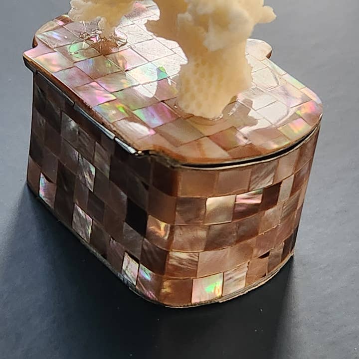 White Tulip Boutique - Wholesale Decorative Box - Mini Tawny Abalone MOP Shell Trinket Pill Box6