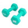 Myga - Wholesale Fitness Equipment - Pair Hex Dumbbell 1-10KG18