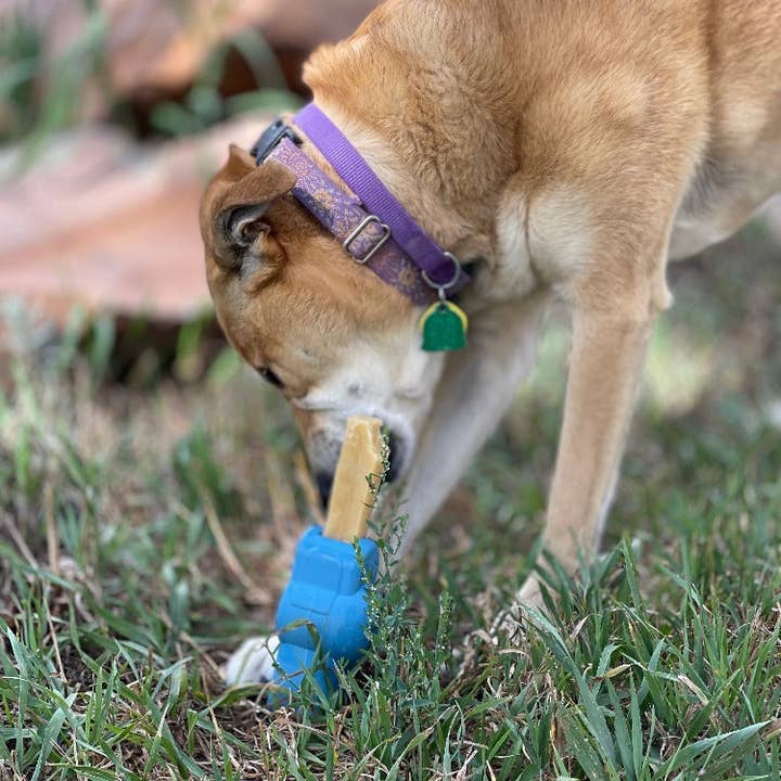 SodaPup Dog Toys - Vente Jouet à mâcher – chien - Porte-Chewing-gum Yak en caoutchouc Petz6