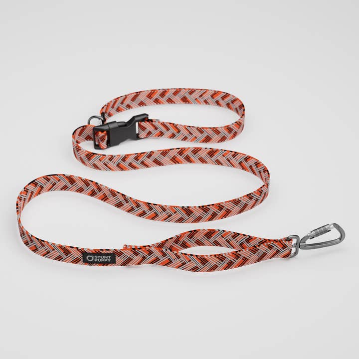Stunt Puppy - Wholesale Pet Leash - Dog - Cincinatti Beagles Everyday Leash™1