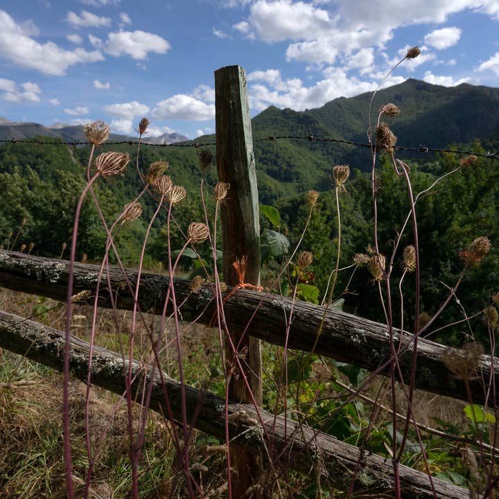 Konstfotografi för wholesale av Nuriart