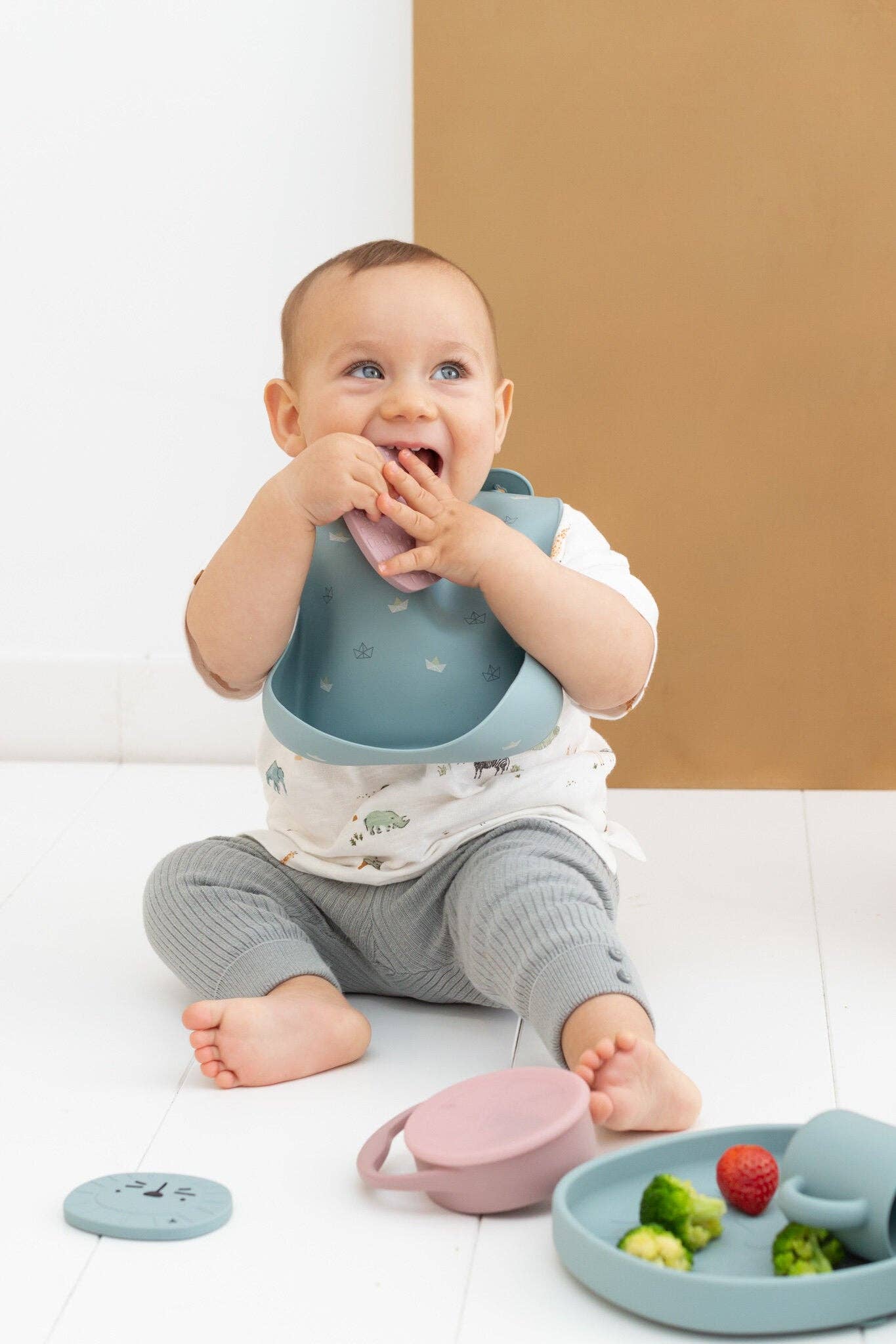 the cotton cloud - Wholesale Dish - Silicone Dish with Suction Plate Alfie Jade5