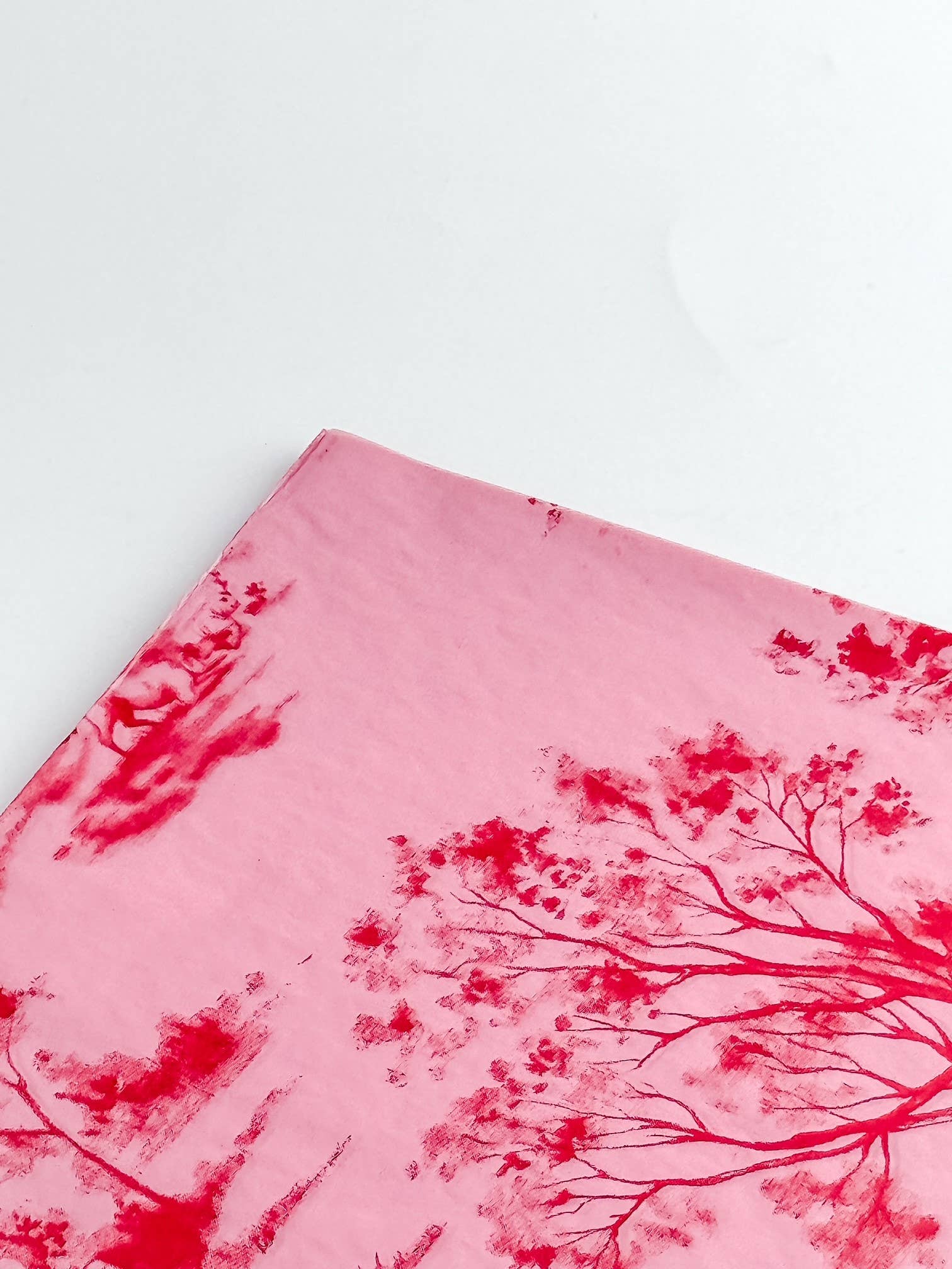 CHIC&PAPER – Großhandel Seidenpapier – Chic&Paper VINTAGE GARDEN Seidenpapier 500 Blatt 62x86 cm, Candypink/Rot