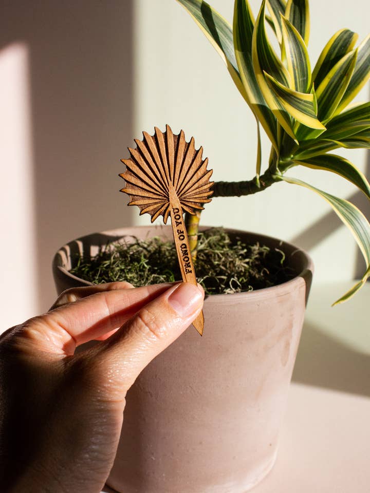 Choix de plantes en bois de palmier Frond of You pour la vente par Hereafter