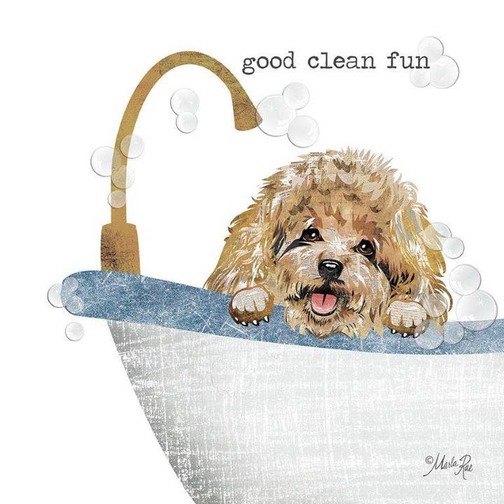 Good Clean Fun for wholesale by Marla Rae