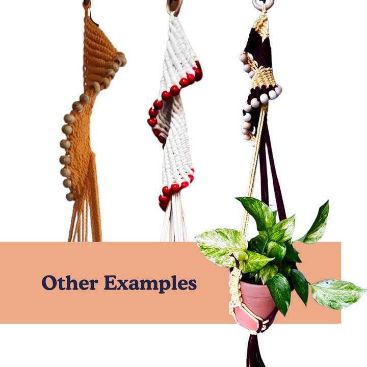 The PlantOutfitter - Wholesale Hanging Planter - Spiral Macrame Plant Hanger5