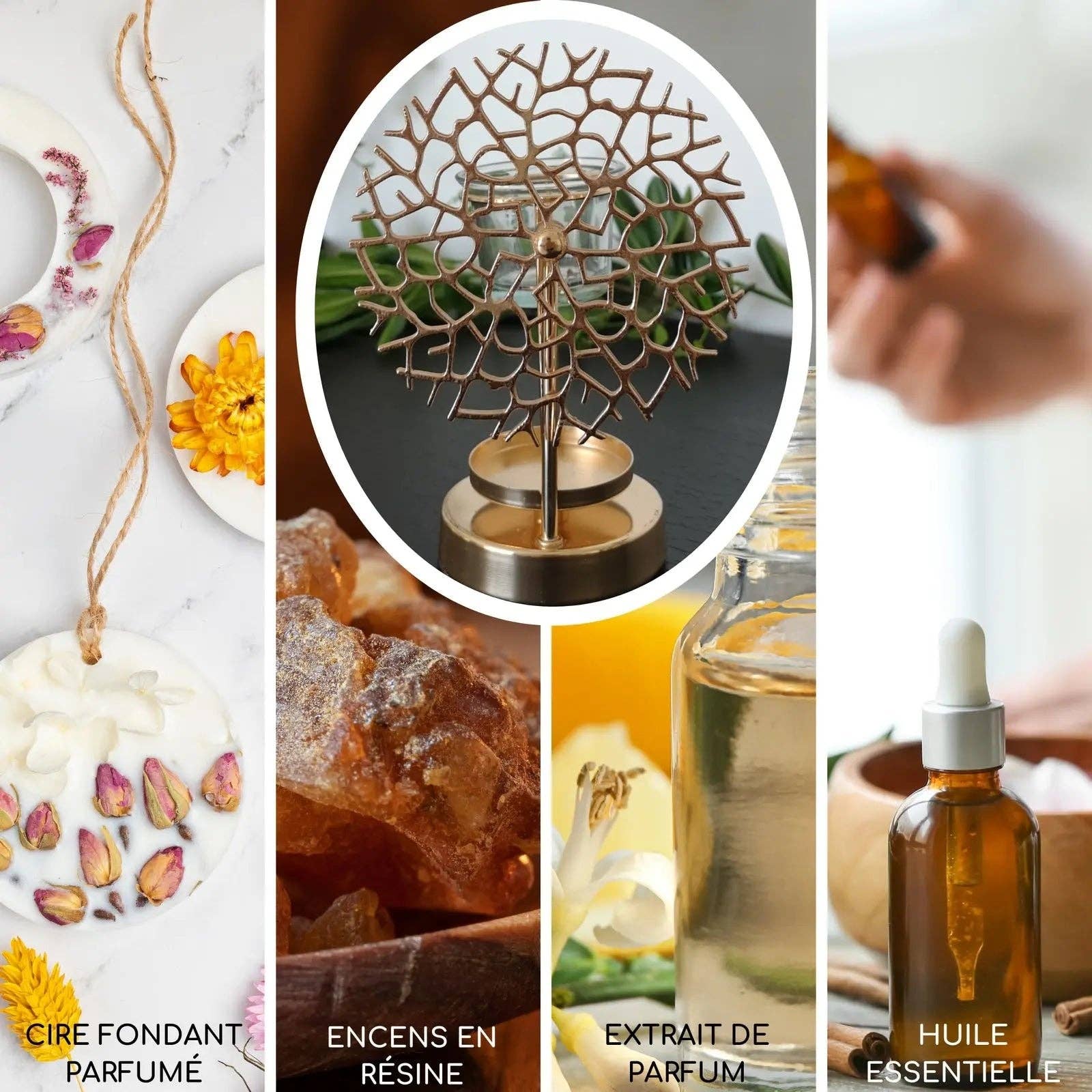 CocoBen's - Wholesale Wax Warmer - Fragrance burner - Coral3