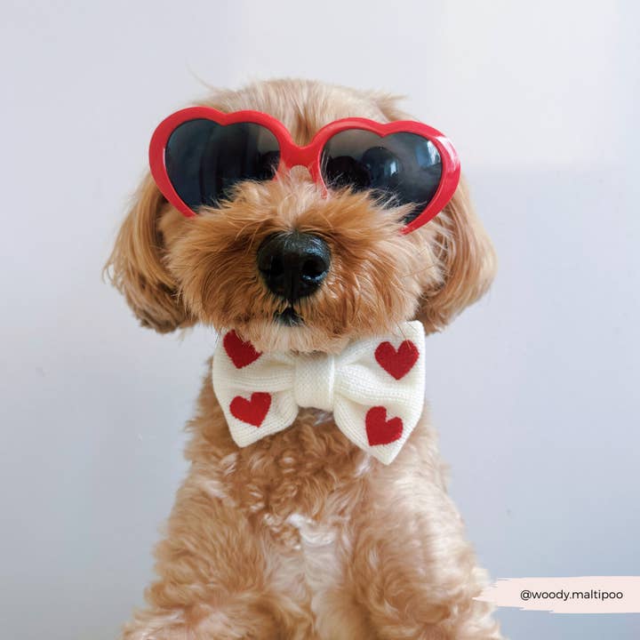 Cocopup London - Wholesale Pet harness – Dog - Hugs & Knitted Adjustable Neck Harness20