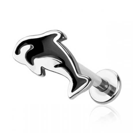 316L SURGICAL STEEL LABRET ORCA (WHALE) for wholesale by CRAVE