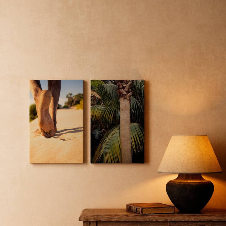 Tracing the Moment for wholesale by Rhythm & Hues