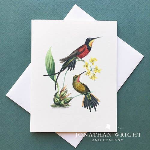 Cartão de par de beija-flores por atacado de Jonathan Wright and Company