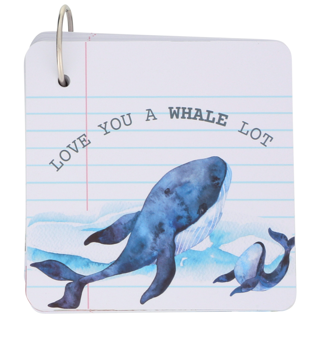 Curious Baby - Wholesale Lunch Bag/Box - Kids - Lunchbox Love Notes1