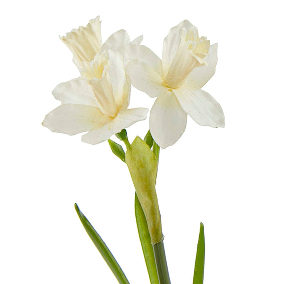 RC Home Decor - Vente Fleurs artificielles - Jonquilles blanches au toucher naturel de 20,5"1