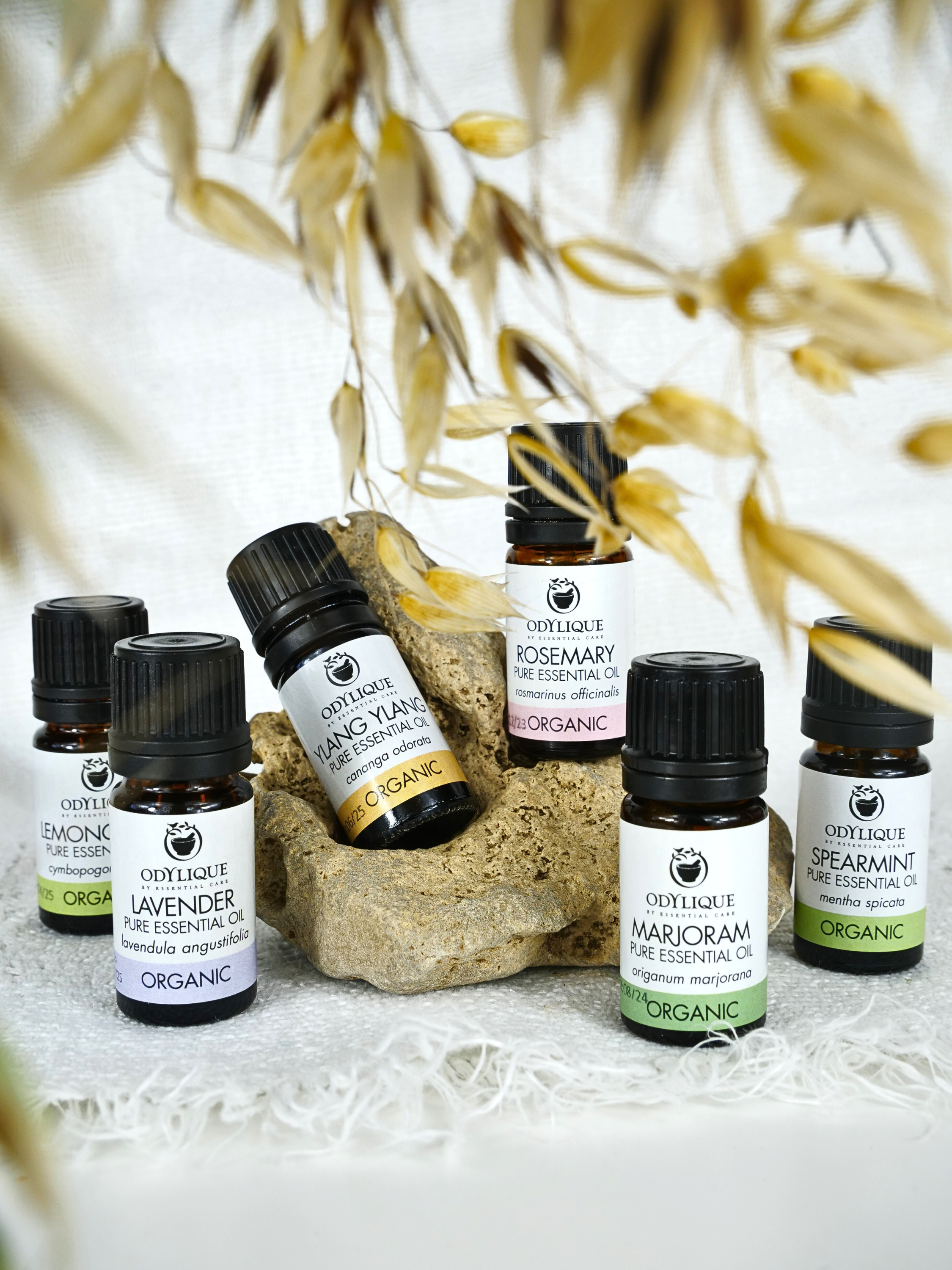 Odylique – wholesale Essential oil – Organic Essential Oils23